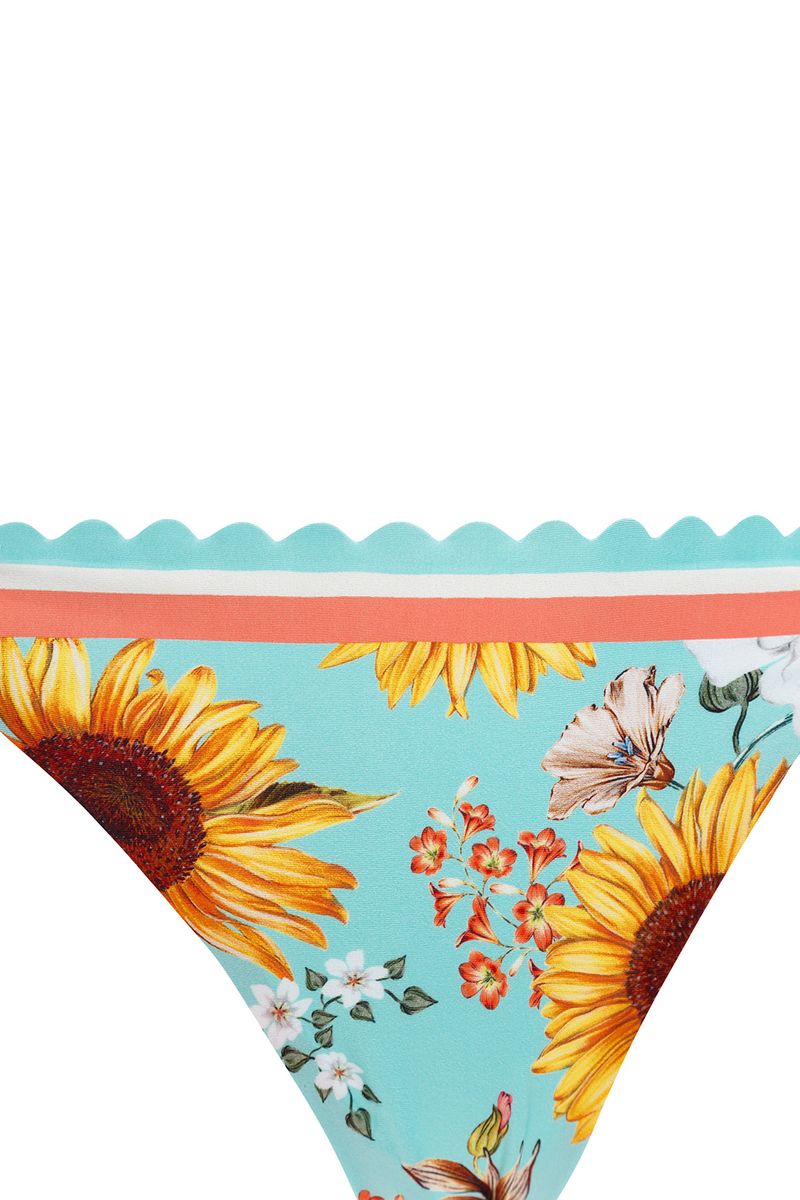 Sunshower-Alegria-Bottom