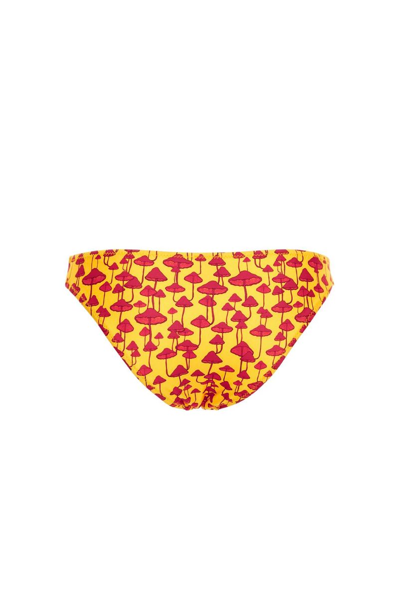 Bottom-de-Bikini-Lo-13866-3